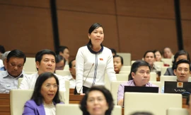 ĐBQH Lý Tiết Hạnh. Ảnh: Như Ý.