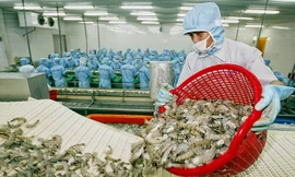 Ngành thủy sản của Việt Nam có nhiều cơ hội tăng mạnh kim ngạch xuất khẩu vào thị trường EAEU.