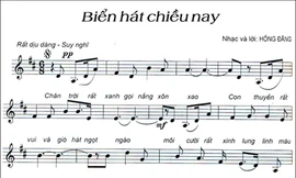 Thế nào là “đen”?