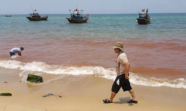 Vệt nước ven biển chuyển màu đỏ. Ảnh: Vnexpress