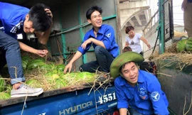 Bán dưa giúp nông dân Quảng Ngãi là một hoạt động có ý nghĩa sâu sắc đối với bạn trẻ.