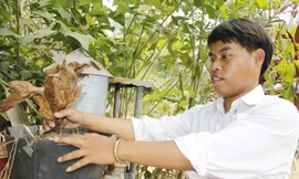 Nam sinh vượt ngàn cây số mong hàn gắn mối tình bằng Chiếc lá tình yêu