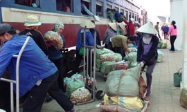 Chuyến tàu duy nhất trong ngày vào ga Hạ Long cũng là lúc chợ nông sản hoạt động.