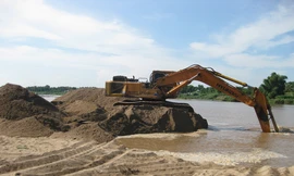 Ảnh minh hoạ: Internet