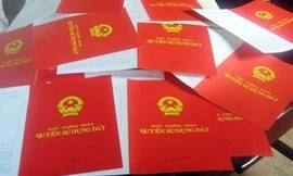 Ảnh minh họa: Internet