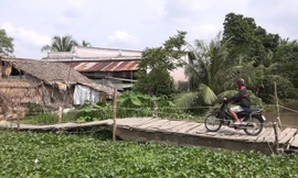 Chiếc “đò” độc đáo tại phường Bình Thạnh, TX. Long Mỹ, tỉnh Hậu Giang. Ảnh: Kim Hà.