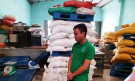 Những kho đường lậu này khiến đường nội điêu đứng.