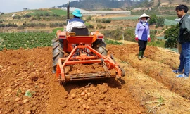 Máy đào khoai tây đa năng của anh Thành.
