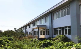 Cỏ um tùm quanh các tòa nhà bệnh viện mới xây.