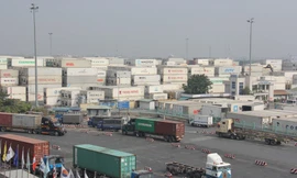 Hàng tắc nghẽn vì khai báo hải quan: DN ngành điều kêu cứu