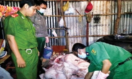 Thịt heo bẩn từ các tỉnh tuồn về TPHCM bị cơ quan chức năng phát hiện, thu giữ trong năm 2015.