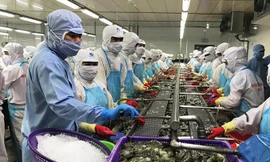 GDP phải đến từ sản xuất hàng hóa của cải cho xã hội chứ không phải những hoạt động đầu cơ bong bóng.