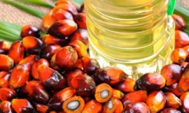 Tinh dầu cọ. Ảnh minh họa