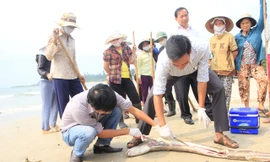 Bà nội trợ gặp khó