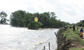 Lũ Ðồng bằng sông Cửu Long sẽ lên trong tuần tới