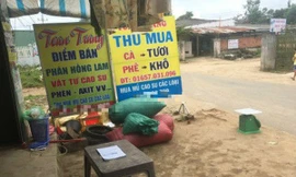 Bị doạ 'móc đầu' vì viết bài chống tiêu cực