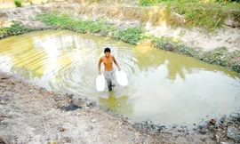 Đồng bằng Sông Cửu Long khô hạn. Ảnh: Lê Hoàng Yến.