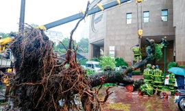 Thiết bị Trung Quốc ảnh hưởng tới dự báo bão?