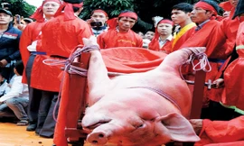 Lễ hội thôn Ném Thượng đang trở nên nổi tiếng và gây tranh cãi. Ảnh: Lê Bích.