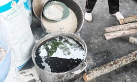 Lò giết mổ hóa thành lò nấu mỡ bẩn