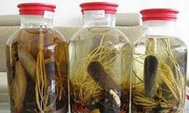 Ảnh minh hoạ: Internet