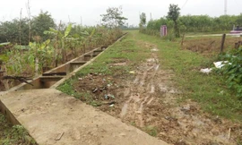 Nâng 'khống' nhiều tỷ đồng tại dự án ngăn mặn ở Nghệ An