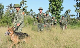 Tuần tra biên giới.
