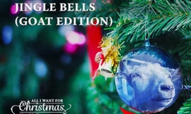 Album của “nhóm nhạc dê” 