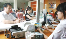 Tỷ giá VND/USD đã có một năm ổn định với lượng dự trữ ngoại tệ tăng kỷ lục.