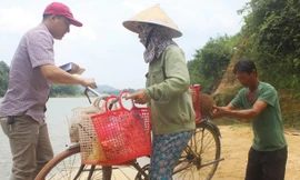 Chị Phạm Thị Liên vất vả đỡ chiếc xe đạp lên đò để qua thôn Liên Hòa.