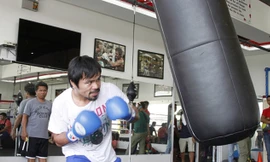 Manny Pacquiao tập luyện cho trận thượng đài với Floyd Mayweather vào ngày 2/5 tới. Ảnh: Getty Images.
