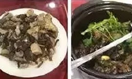 Lãnh đạo doanh nghiệp bị sa thải vì ăn động vật quý hiếm