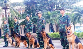 Các chiến sỹ BÐBP Ðà Nẵng bên cạnh những chú chó nghiệp vụ của mình. Ảnh: Nguyễn Thành.