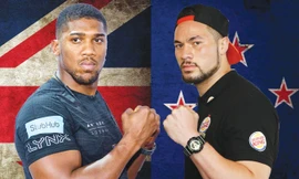 Anthony Joshua và Joseph Parker sẽ so găng đầu năm 2018.