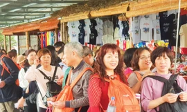 Tour 0 đồng làm méo mó môi trường du lịch Việt. Ảnh: Hoàng Dương.