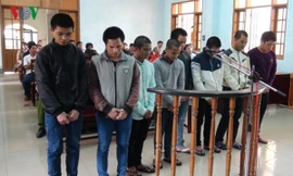 8 đối tượng giết cán bộ bảo vệ rừng lĩnh án 116 năm tù