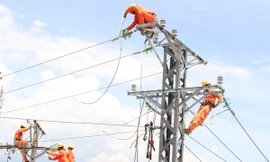 Ảnh minh họa: Internet