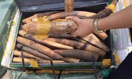 Ảnh minh họa. Nguồn Internet