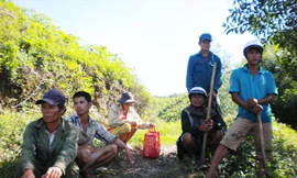 Khu vực đất rừng bắc sông Hiếu, nơi xảy ra tranh chấp giữa người dân địa phương với Công ty Lâm nghiệp Ðường 9. Ảnh: Phạm Xuân Dũng.