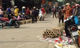 Lo ngại cúm, tình hình buôn bán, tiêu thụ gà, vịt sống kém sôi động trên thị trường Lạng Sơn. Ảnh: Duy Chiến.