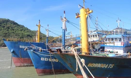 Tàu vỏ thép hư hỏng nằm bờ hàng tháng trời khiến ngư dân mệt mỏi. Ảnh: H. Văn.