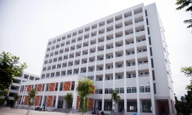 Ảnh minh họa: Internet