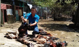 Sơ tán gần 1.200 người vì rò rỉ amoniac