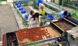 Các doanh nghiệp xác định 100 ngàn tỷ không hề dễ “xơi”. (Trong ảnh: Dây chuyền sản xuất của DN làm NNCNC).