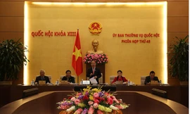 Không đồng ý lùi dự án Luật Biểu tình