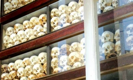 Sống sót đã là kỳ tích