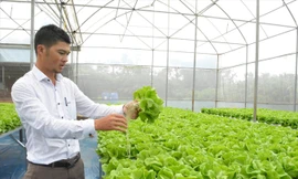 Anh Phan Nguyên Bic chia sẻ kinh nghiệm trồng rau thủy canh. Ảnh: N.T.