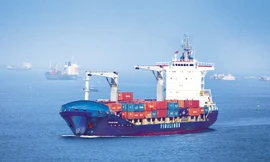 Ông lớn Vinalines lột xác như thế nào trước khi lên sàn?