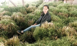 Ðạo diễn Nguyễn Hoàng Ðiệp có ngày dùng hết 2 tấn mùi già để sản xuất hương liệu Úi Chà.