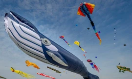 Đảm bảo an toàn liên hoan diều quốc tế lần thứ 6